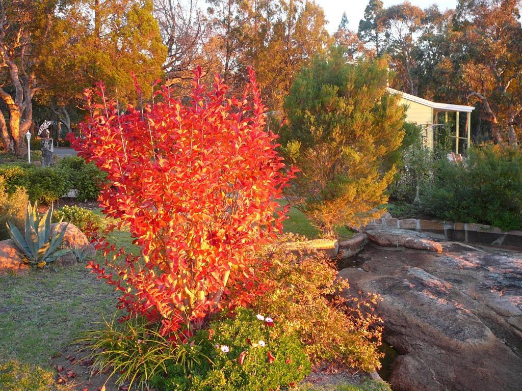 31 The Rocks Bed & Breakfast Stanthorpe Dış mekan fotoğraf