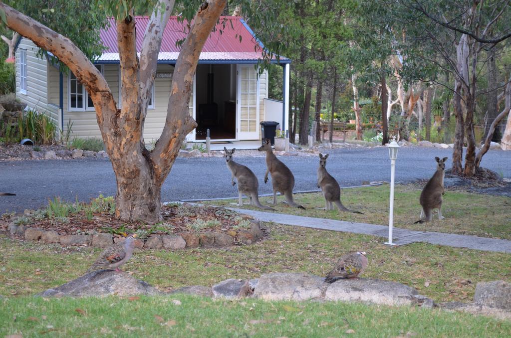 31 The Rocks Bed & Breakfast Stanthorpe Dış mekan fotoğraf